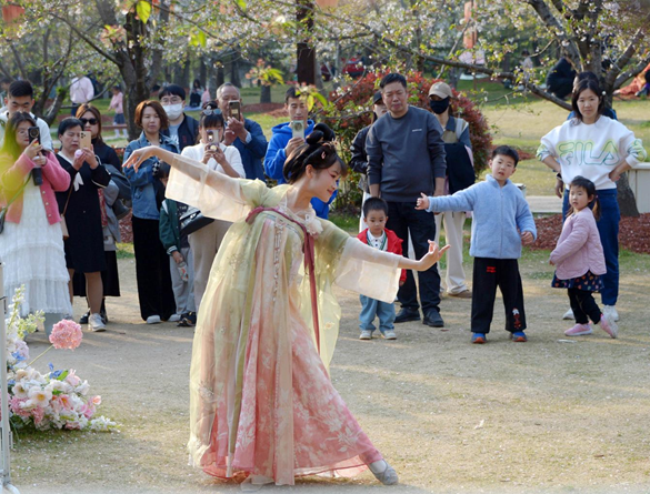 清明假期期間，上海顧村公園櫻花島上，游客在觀賞國風(fēng)漢服快閃表演。（圖片來源：視覺中國）